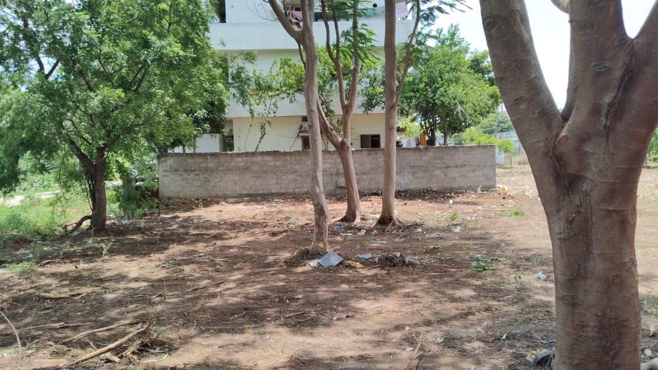 Plot 172 After Cleanup